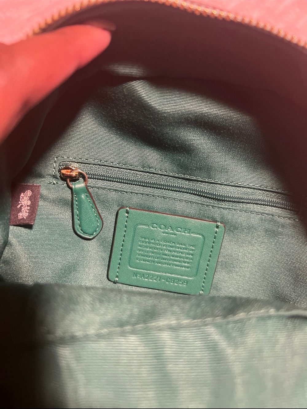 Coach Green & Light Blue Leather Mini Backpack with Radish Patch - Picture 3 of 6